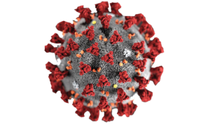 فيروس كورونا الجديد  COVID-19